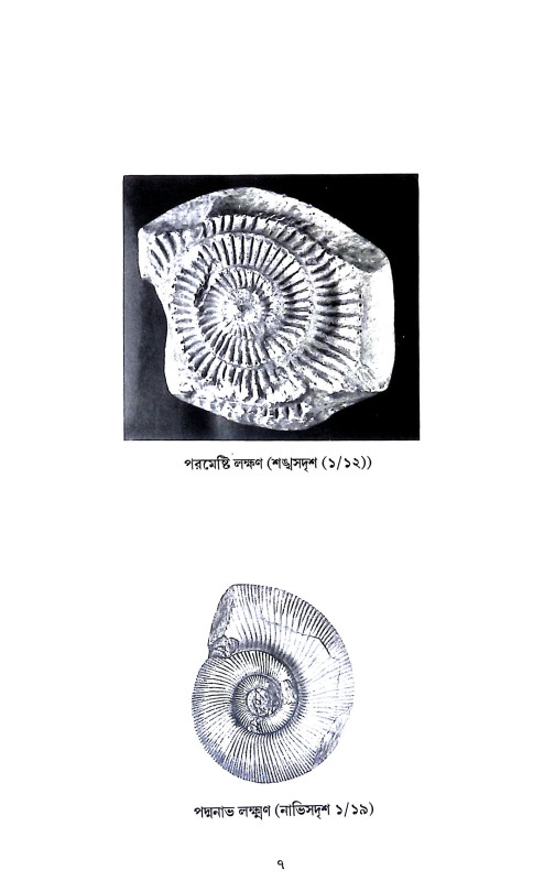 ভগবান বিষ্ণু ও শালগ্রাম শিলা Bhagaban Bisnu o Salgram Sila