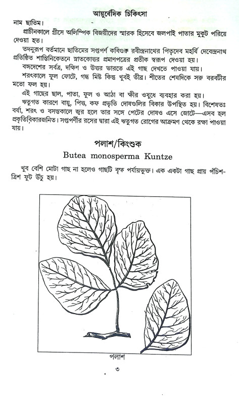 আয়ুর্বেদিক চিকিৎসা Ayurbedik Cikitsa