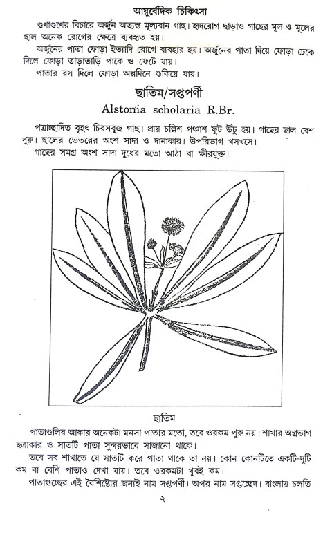 আয়ুর্বেদিক চিকিৎসা Ayurbedik Cikitsa