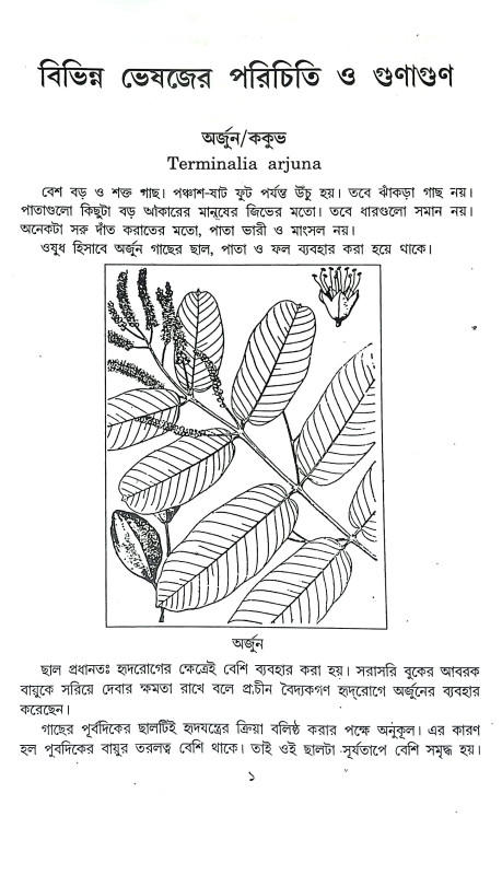 আয়ুর্বেদিক চিকিৎসা Ayurbedik Cikitsa
